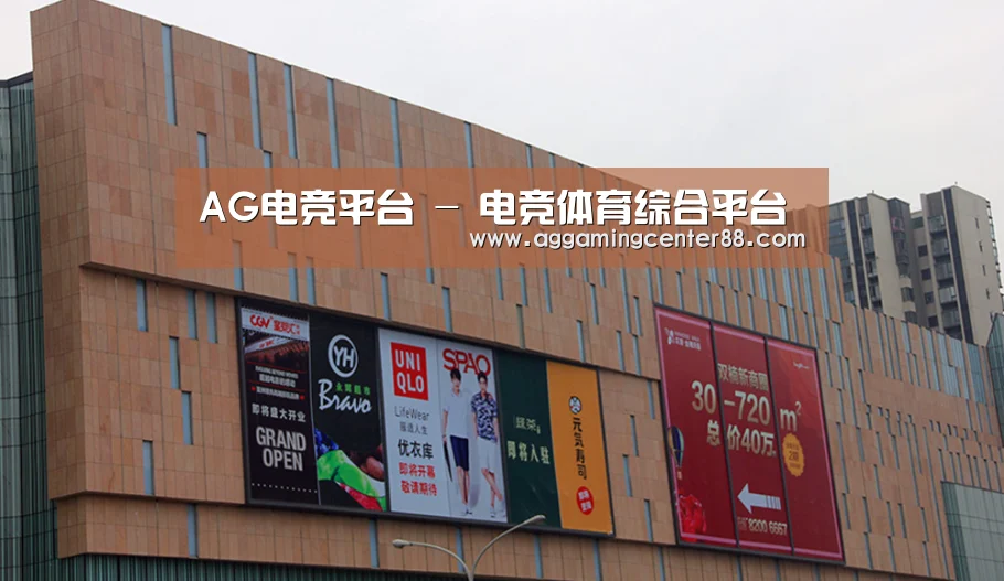 龙湖 · 金楠天街(图1) 龙湖 · 金楠天街(图1)