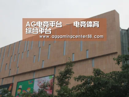 龙湖 · 金楠天街