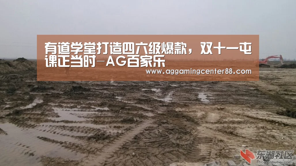 有道学堂打造四六级爆款,双十一屯课正当时-AG百家乐(图2) AG百家乐