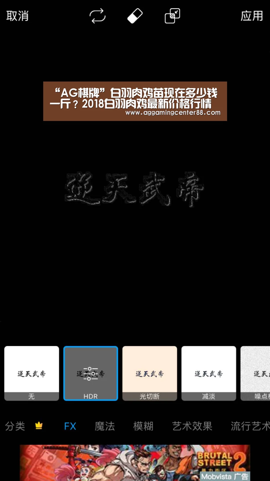 “AG棋牌”白羽肉鸡苗现在多少钱一斤?2018白羽肉鸡最新价格行情(图2) AG棋牌