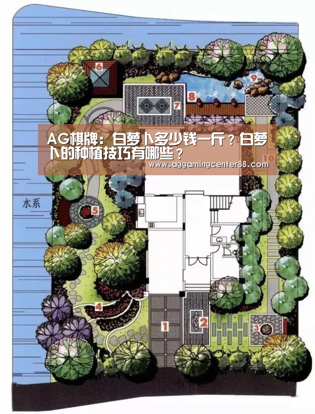 AG棋牌:白萝卜多少钱一斤?白萝卜的种植技巧有哪些?(图2) AG入口