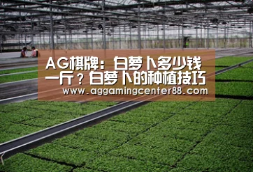 AG棋牌:白萝卜多少钱一斤?白萝卜的种植技巧有哪些?(图1) AG入口