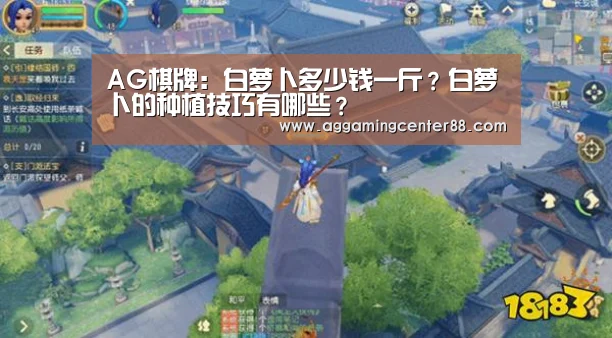 AG棋牌:白萝卜多少钱一斤?白萝卜的种植技巧有哪些?(图3) AG百家乐
