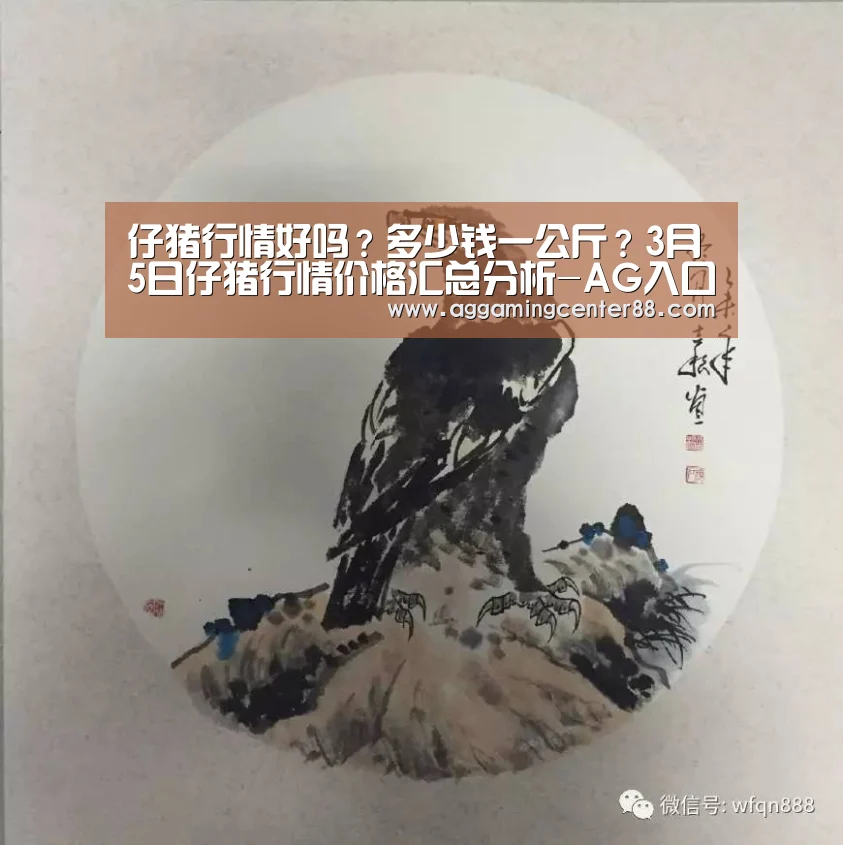 仔猪行情好吗?多少钱一公斤?3月5日仔猪行情价格汇总分析-AG入口(图2) AG棋牌