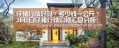 仔猪行情好吗?多少钱一公斤?3月5日仔猪行情价格汇总分析-AG入口(图1) AG入口