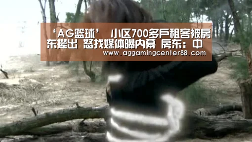 AG篮球