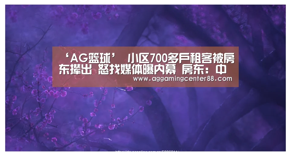 AG篮球