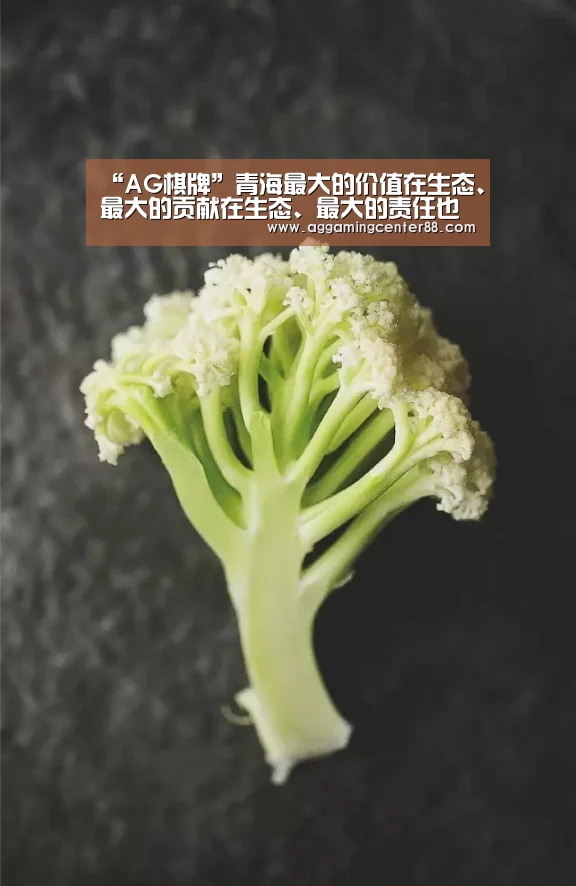 “AG棋牌”青海最大的价值在生态、最大的贡献在生态、最大的责任也在生态(图3) AG篮球