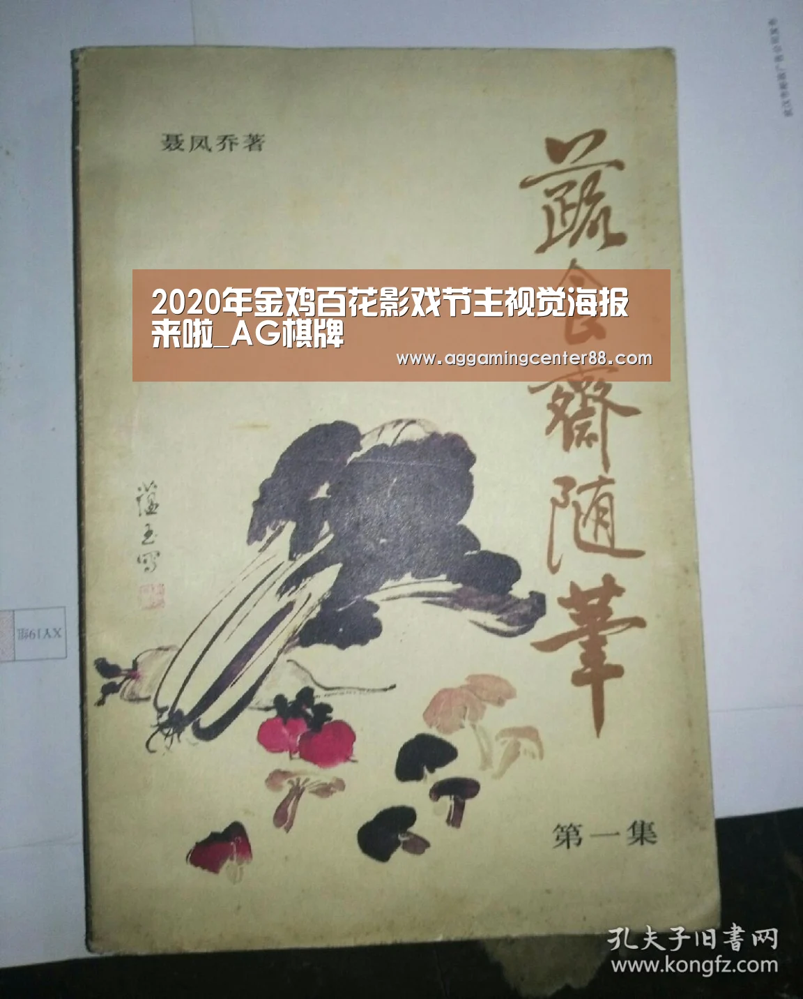 2020年金鸡百花影戏节主视觉海报来啦_AG棋牌(图3) AG棋牌