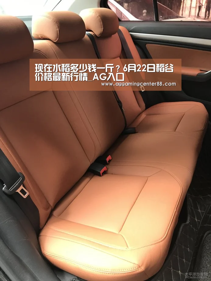 现在水稻多少钱一斤?6月22日稻谷价格最新行情_AG入口(图1) AG篮球