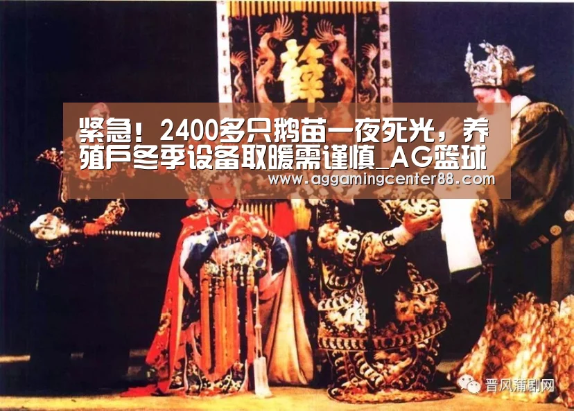 紧急!2400多只鹅苗一夜死光,养殖户冬季设备取暖需谨慎_AG篮球(图3) AG棋牌