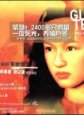 紧急!2400多只鹅苗一夜死光,养殖户冬季设备取暖需谨慎_AG篮球(图1) AG篮球