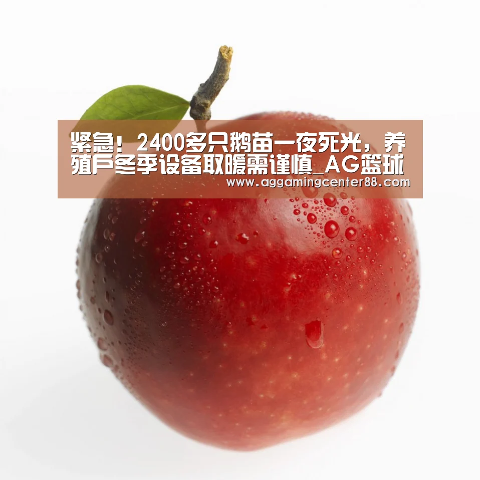 紧急!2400多只鹅苗一夜死光,养殖户冬季设备取暖需谨慎_AG篮球(图2) AG入口
