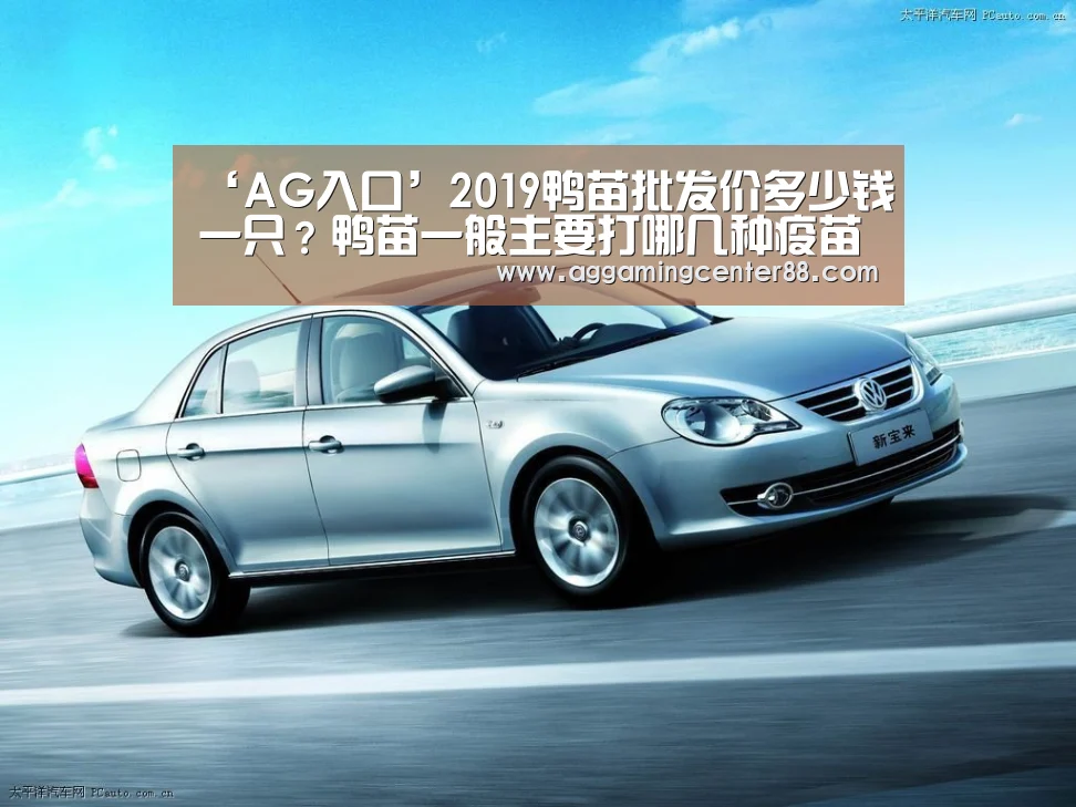 ‘AG入口’2019鸭苗批发价多少钱一只?鸭苗一般主要打哪几种疫苗?(图2) AG百家乐
