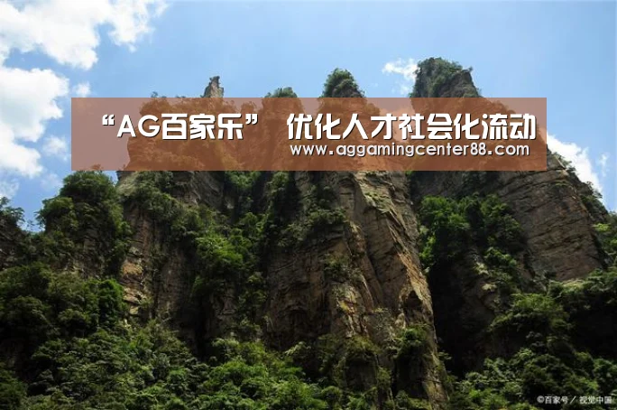 “AG百家乐”
优化人才社会化流动(图2) AG篮球