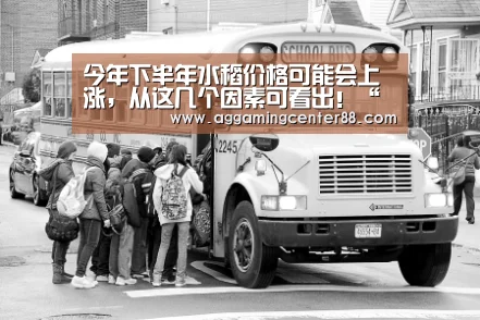 今年下半年水稻价格可能会上涨,从这几个因素可看出!“AG入口”(图1) AG百家乐