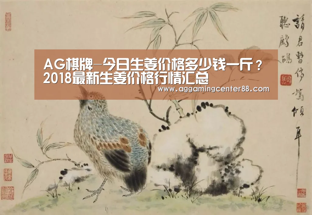 AG棋牌-今日生姜价格多少钱一斤?2018最新生姜价格行情汇总(图1) AG篮球