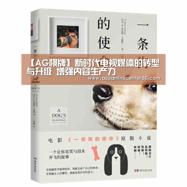 【AG棋牌】新时代电视媒体的转型与升级 增强内容生产力(图1) AG棋牌