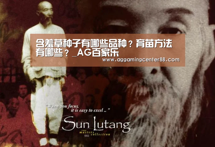 含羞草种子有哪些品种?育苗方法有哪些?_AG百家乐(图1) AG篮球