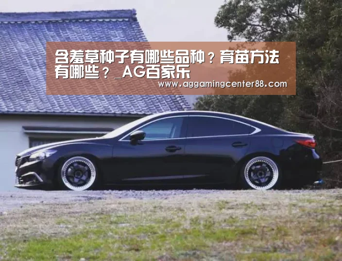含羞草种子有哪些品种?育苗方法有哪些?_AG百家乐(图3) AG篮球
