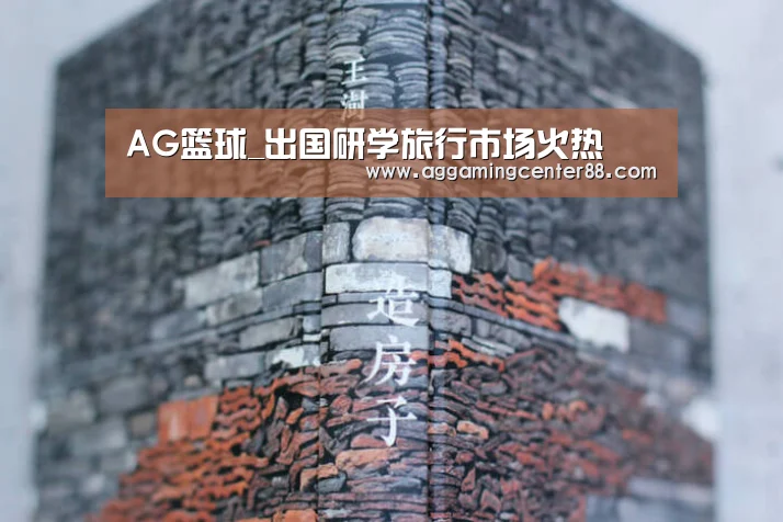 AG篮球_出国研学旅行市场火热(图2) AG入口
