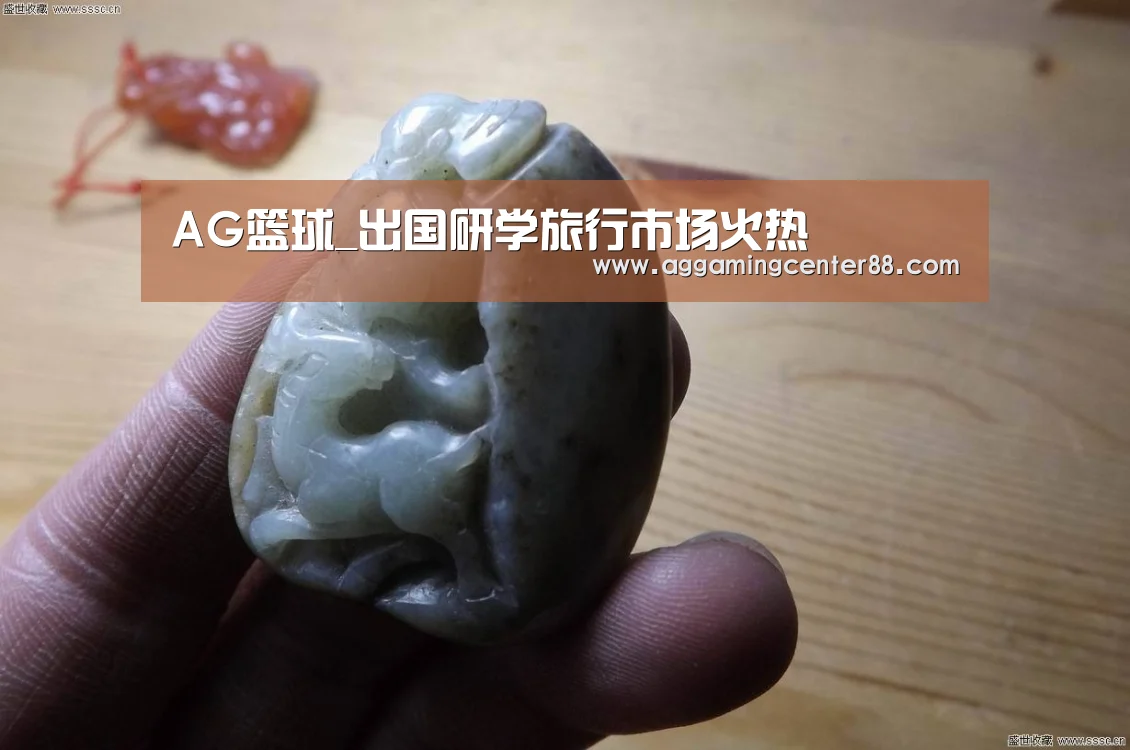 AG篮球_出国研学旅行市场火热(图4) AG篮球